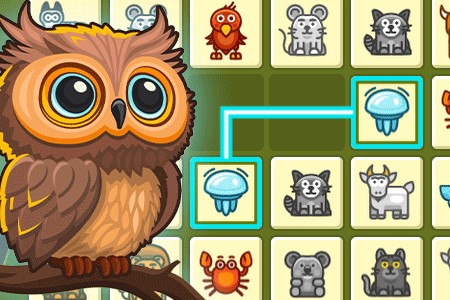 Jeu Dream Pet Connect 2