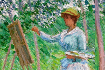 Jeu Famous Paintings