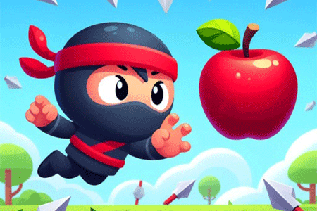 Flip Ninja