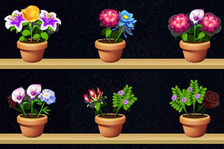 Jeu Flower Matching