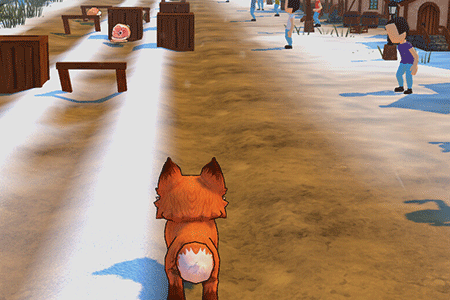 Jeu Fox Run