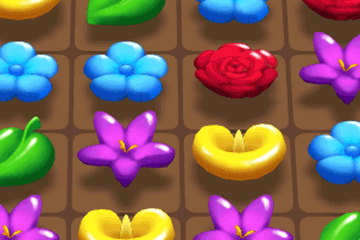 Jeu Garden Bloom