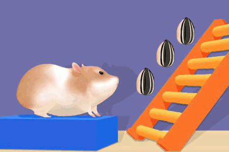 Jeu Hamster Labyrinthe