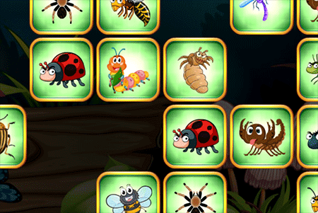 Jeu Combine les Insectes