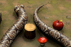 Jeu Nova Snake 3D
