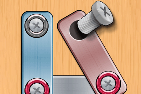 Nuts and Bolts Screw Puzzle