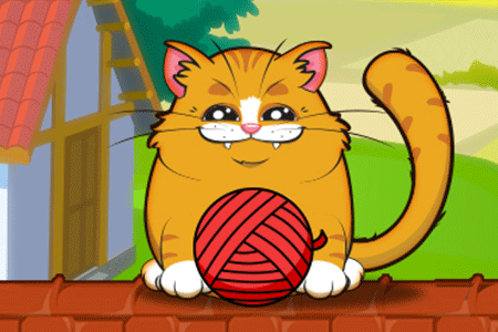 Playful Kitty