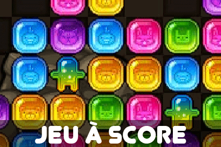 Jeu Pooch Blocks