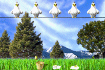 Poules et Oeufs