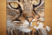 Puzzles Classiques