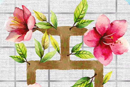 Jeu Sakura Branch