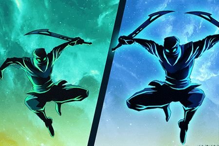 Shadow Ninja Revenge