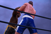 Jeu Ultimate Boxing